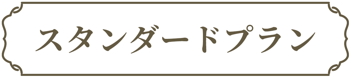 スタンダードプラン